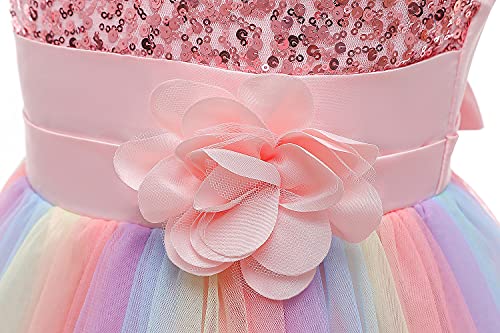 Super Fairy Flower Girls Sequin Mesh Tulle Rainbow Party Dress Princess Lace Ball Gown4