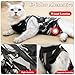 Kodervo Cat Recovery Suit for Abdominal Wounds or Skin Diseases, Breathable Cat Onesie for Cats After Surgery Spay Neuter, Anti Licking Cat Cone Alternative, Professional Pet Surgery Recovery Shirt