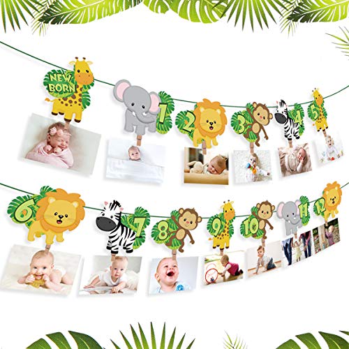 QIFU Animal 1st Birthday Baby Photo Banner - Newborn to 12 Month Bunting Garland Monthly Milestone Photo Banner for Safari Jungle First Birthday Decorations