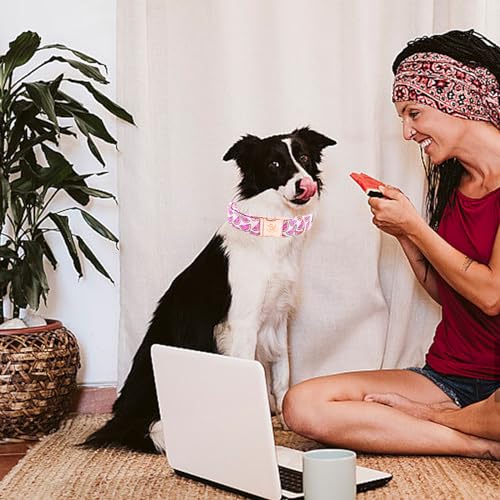 Collier pour chien XL imprimé pastèque coton durable - 6