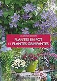  Plantes en pot et plantes grimpantes