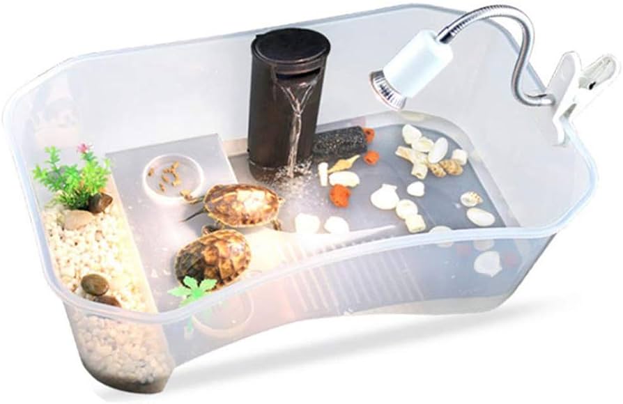 tortoise starter kit amazon
