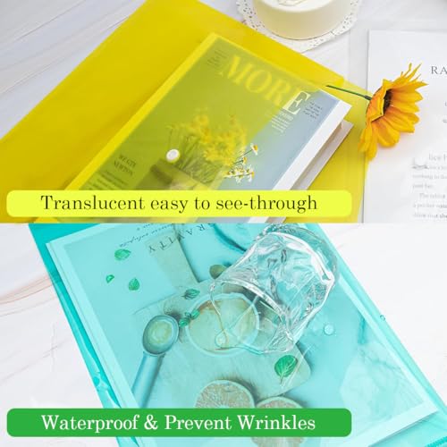 Image of Shuban Document File Folders with Snap Button Closure, Waterproof Plastic Envelope Pouches for Letter /A4 Size Paper, Assorted Transparent Colors (Style-5-Plain Transparent Folder-4Pcs-Mix Color)