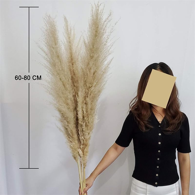 Pampas Grass Boho Decor, Pack de 10 Pampas Secas 120cm miniatura 5