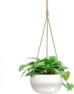 Ceramic Hanging Planters for Indoor Outdoor Plants,8 in Modern Plant Pot...