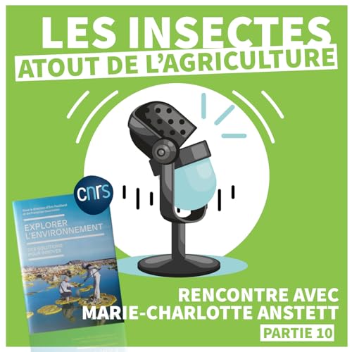 EXPLORER L'ENVIRONNEMENT | Les insectes : Atout de l'agriculture [&Eacute;pisode 10]