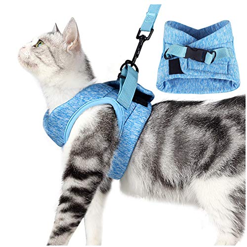 cat vest harness