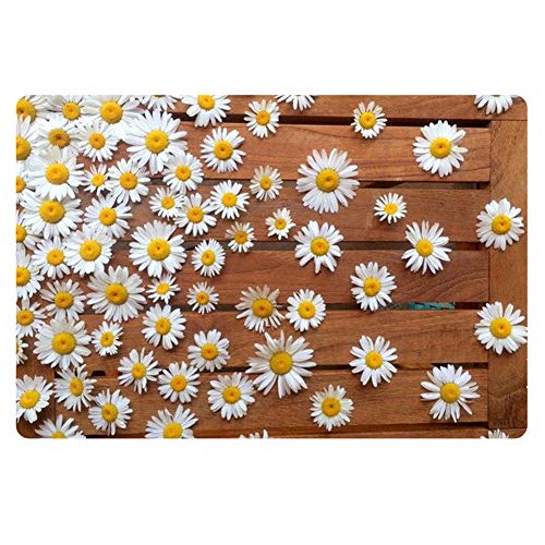 Coloranimal Tapete de bienvenida con diseño de margaritas florales en 3D para casa, jardín, garaje, patio, área de alto tráfico, alfombra resistente y antideslizante con respaldo de goma