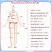 XiDonDon Minty The Fantasy Forest Series 1/12 BJD Doll OB11 Size Action Figures Collectable Anime Figures Dolls Mystery Box Boy Girls Gifts (Single Box)
