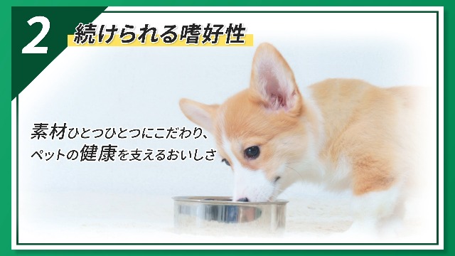 Amazon.co.jp: VetsWell(ベッツウェル) 犬用食事療法食 肥満ケア 3kg