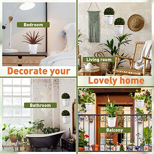 6 Sets 6 Inches Wall Planters For Indoor Plants Self Watering Wall Mounted Planters With 6 Pcs Gold Metal Plant Holders Rings 12 Pairs Expansion Screws 6 Pcs Absorbent Cotton Ropes Installation Notes #TOP3