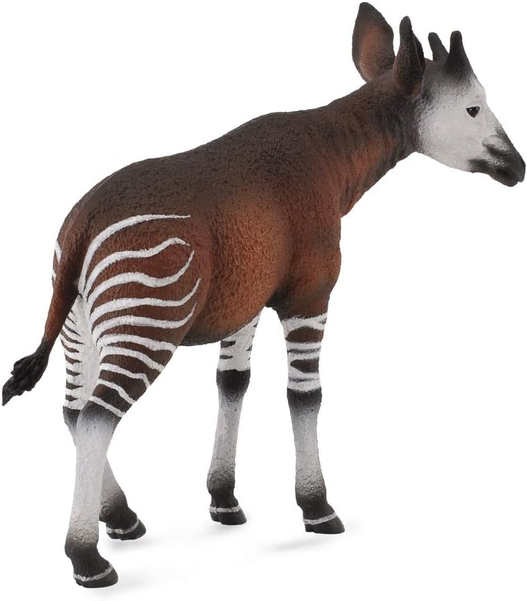 Okapi