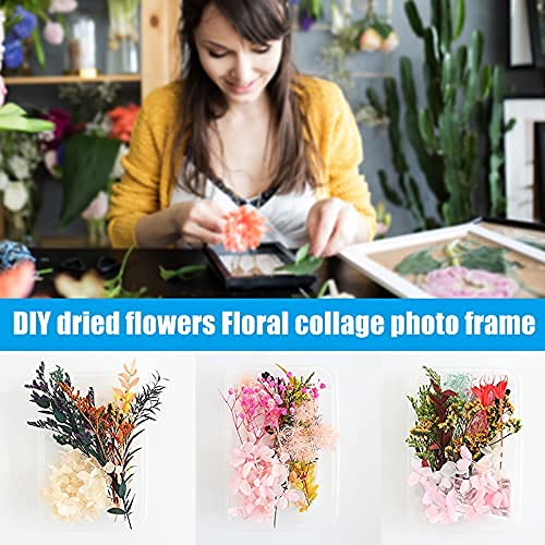 Flores prensadas naturais Material de flores secas misturadas para velas de aromaterapia DIY Cartão