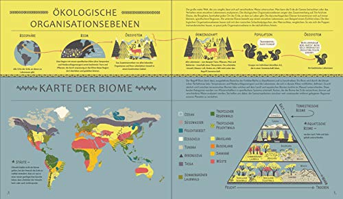 Unser verblüffender Planet Erde: So verstehst du