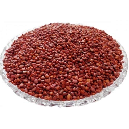 Rameshvar Enterprises | 50 Pcs/Pack Mulli Seeds Red Origanic Healthy Vegetable Plant & Seeds