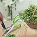 Westmark Germany Stainless Steel 5-Blade Herb Scissors with Cleaning Comb (Green)