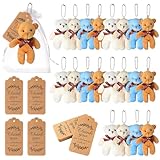 Une collection précieuse : ce lot comprend 20 adorables mini ours en peluche en quatre couleurs ravissantes : blanc, bleu, marron clair et marron foncé. Cette quantité généreuse vous permet de répondre à vos besoins personnels et de partager ces compagnons câlins comme cadeaux réconfortants avec la famille et les amis.