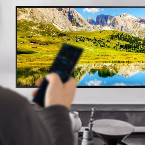 ECONTROLLY Universal Replace Remote Control Compatible with Proscan 4PRO TV Remote Control PLED1526ACAR PLED2329AB PLDED4018B PLDED4331A PLED6515CUHD PLDED6535AUHD