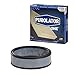 Purolator A43195 PurolatorONE Advanced Engine Air Filter