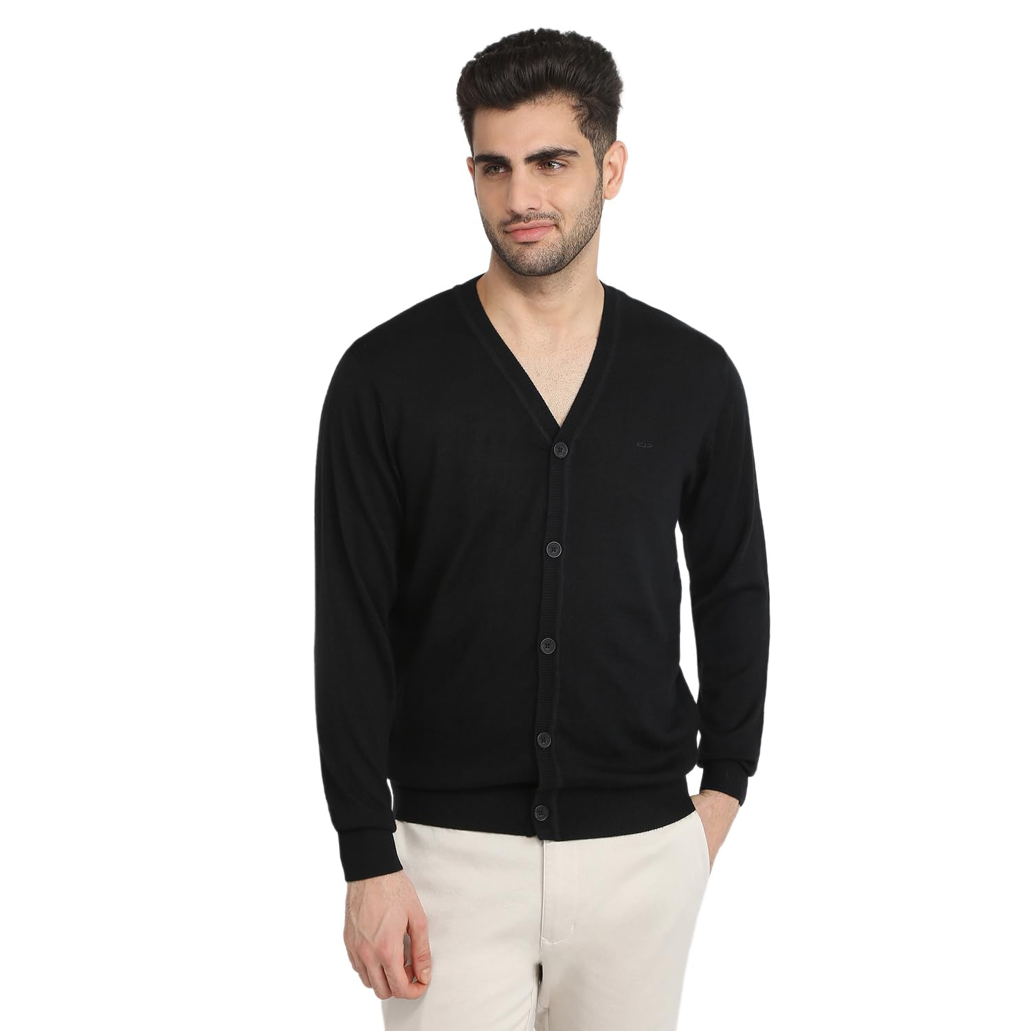 colorplus Men Regular Fit Solid Pattern Merino Wool Acrylic Blend Full Sleeve V Neck Casual Sweater-picture-38