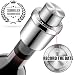 GiniHomer H4T Wine Stoppers, 1 pack, Silver