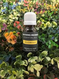 Helichrysum Essential Oils ~ Pure Natural Aromatherapy Massage Oil - Therapeutic Grade - 100% Natural Incense - Pure Essential Oil (100ml)