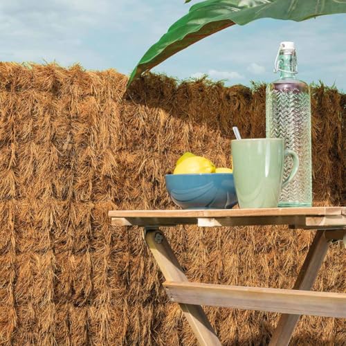 Nortene | Brezo con Coco Natural 2X3 M | Ocultación para Jardín y Terraza | Doble Capa de Brezo con Fibra de Coco Interior | Máxima Privacidad