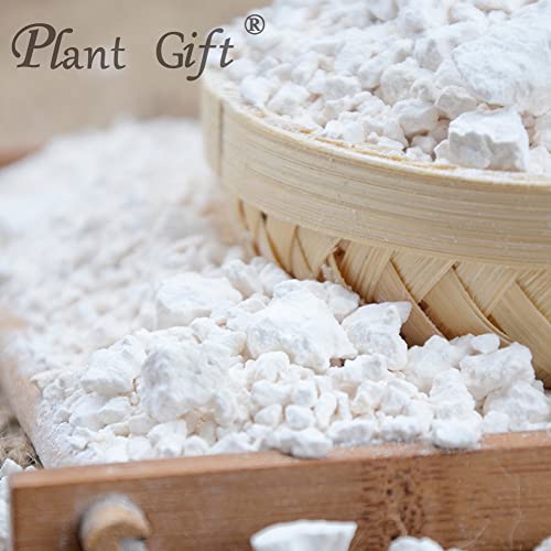 Plant Gift 100% Sweet Potato Powder 100G/3.25oz 红薯粉, Non-GMO, kein Füllstoff, keine Zusatzstoffe, natürliche Süßkartoffel-Mehl, bester Geschmack zum Backen, verleiht Geschmack und Aroma.