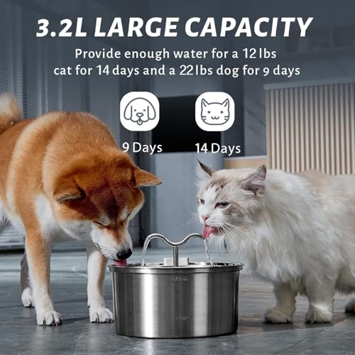 Fuente de agua automática acero inoxidable para gatos miniatura 2