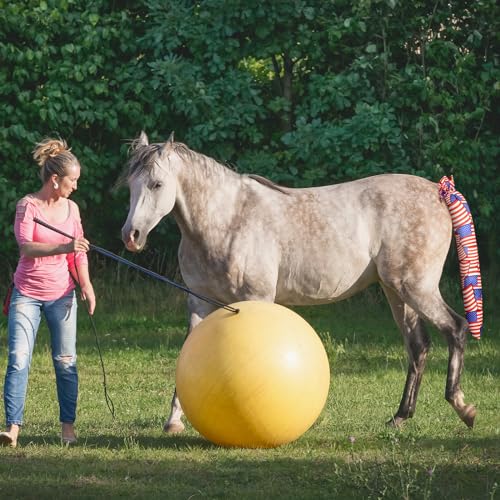 image for Huhumy 6 Pcs Horse Tail Bag Breathable Guard 22