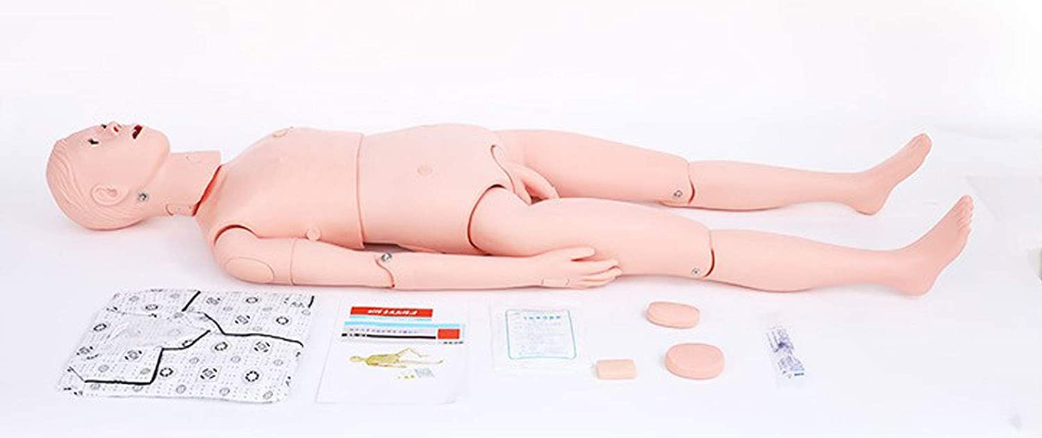 Amazon.co.jp: 多機能介護トレーニング人体模型モデル看護実習可動式