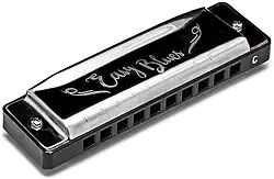 Gaita De Boca Harmonica Hering Easy Blues 4420c Dó Iniciante