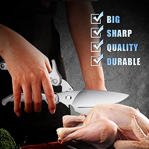 Image of DRAGON RIOT Heavy Duty Poultry Shears - A Must Have Kitchen Shears for Chicken and Meat Cutting - Dishwasher Safe and Stainless Food Kitchen Scissors for Thanksgiving(Silver)