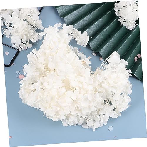 DECHOUS pétalos secos naturales de hortensia 20g miniatura 5