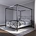 DHP Rosedale Metal Canopy Bed, Queen Size - Black