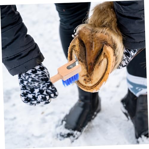 DOITOOL Gancho De Ferradura Escova De Ferradura Ferramenta De Ferrador De Cascos Limpador De Sulcos