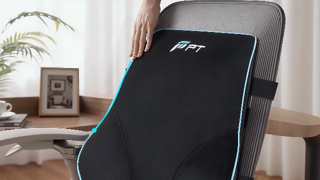 POOTACK Lumbar Support Cushion, Memory Foam Back Support Cushion