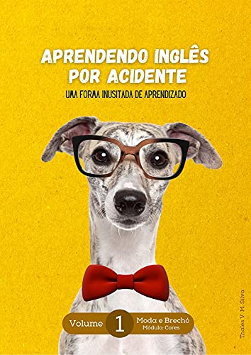 Aprendendo Inglês por acidente: Uma forma inusitada de aprendizado, Vol. 1: Moda & Brechó Módulo: Cores