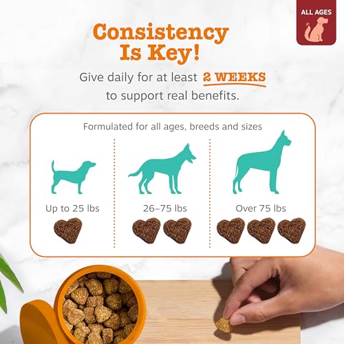 image for Zesty Paws Calming Chews for Dogs - for Everyday Stress, Relaxation, C