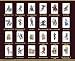 TPLGO 24 Tarjetas NFC para the Legend of Zelda Breath of The...
