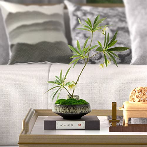 Fausses plantes sans entretien bonsai artificiel durable