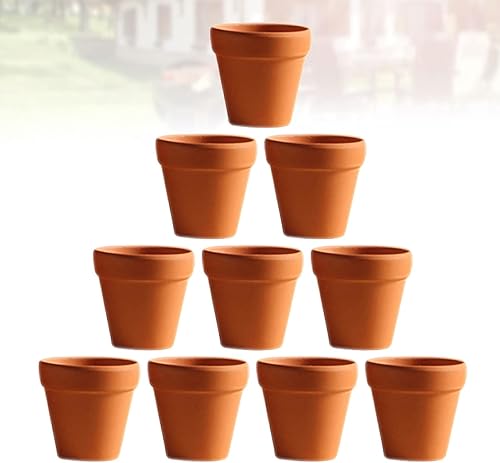 Miniatura 2 de TOYANDONA 60 plantas de jardín, decoración para el hogar, arcilla y agujero, con macetas cactus × cm de cerámica, flores de cotta de