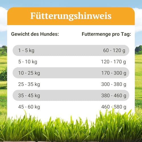 Bellfor Heide-Schmaus Trockenfutter mit Weidelamm und Wildkaninchenfleisch Getreidefrei Reich an natürlichen Vitaminen, Mineralien (Spurenelemente) und Antioxidantien 2,5 kg
