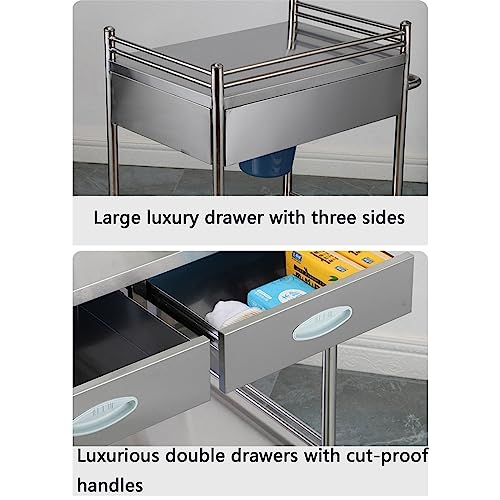 Carro médico de acero inoxidable – Carrito de laboratorio rodante de 2 niveles, capacidad de carga de 100 kg, duradero y versátil para clínicas, hospitales, equipos de fácil movilidad