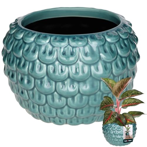 KOTARBAU® Kunstvoller Blumentopf-Keramik groß Vintage Fischschuppen-Muster handgefertigt ⌀ 17 cm Höhe 13 cm Blumenübertopf Keramik-Blumentopf Blau & Turkisfarbe Orchideentopf KOTARBAU® Kunstvoller Blumentopf-Keramik groß Vintage Fischschuppen-Muster handgefertigt ⌀ 17 cm Höhe 13 cm Blumenübertopf Keramik-Blumentopf Blau & Turkisfarbe Orchideentopf