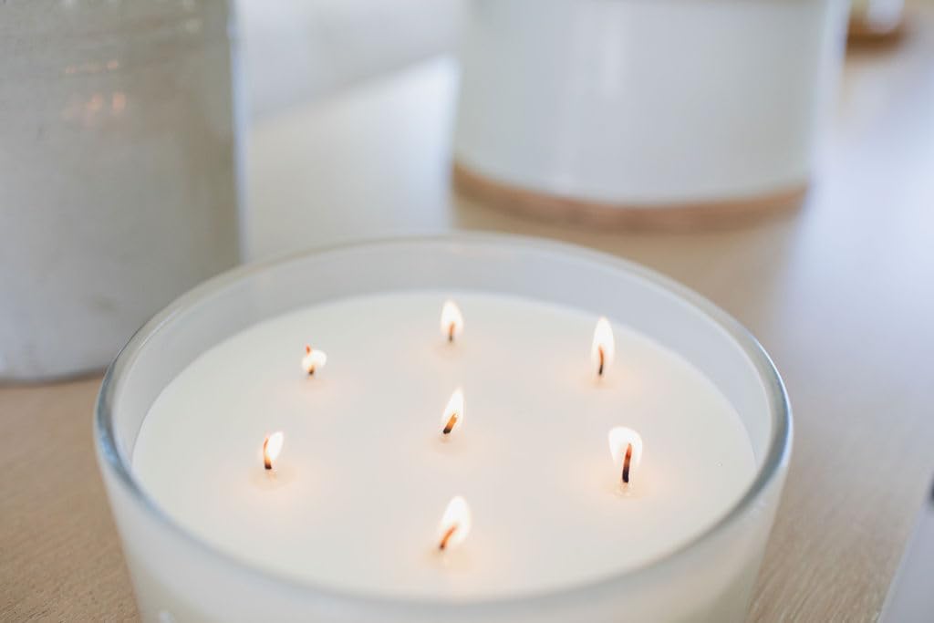 Sand + Fog Scented Candle - Tropical Citrus Additional Scents and Sizes 100% Cotton Lead-Free Wick Luxury Air Freshening Jar Candles Perfect Home Decor for Your Cocktail Table 34 oz, Orange,Violet - Image 8