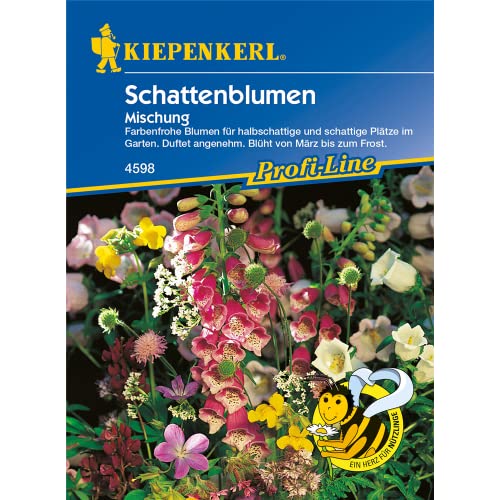 Die 16 besten Ganzjährig blühende Pflanzen Produktratgeber