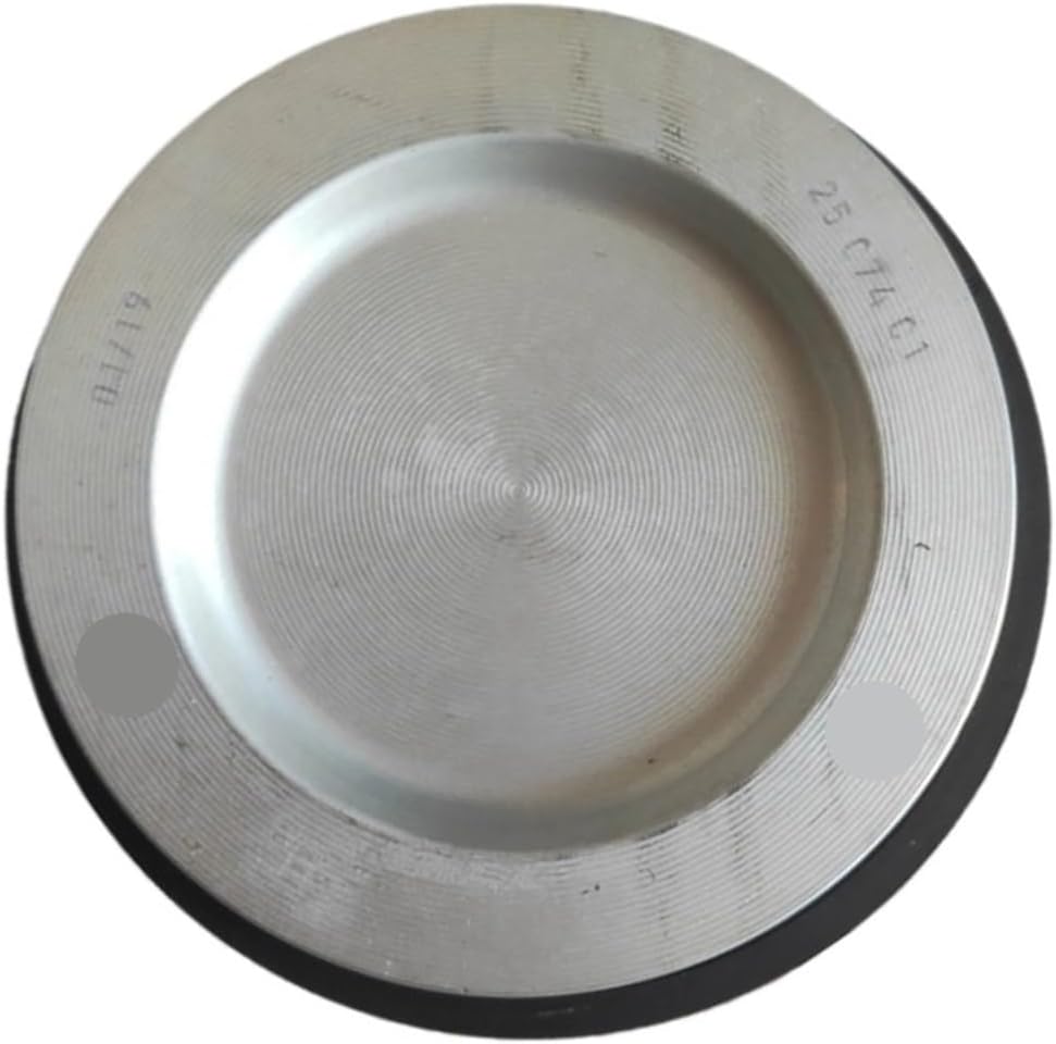 Piston Assembly Fit For 2587401-S 2507401