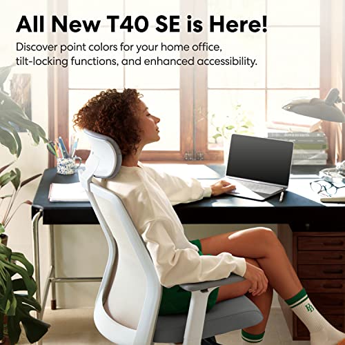 Sidiz T40 Se Ergonomic Office Chair : Home Office Chair For Light Users With Reclining Tilt Lock, Headrest, 3D Armrests, Mesh Back Computer Desk Chair, Alternative Gaming Chair (Light Gray) #TOP1
