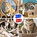 KWHSPKENG Cardboard Cutter for Cat Scratchers, 3D Printed Portable Cardboard Strip Cutter with 6pcs Blade, DIY Cat Scratchers for Cat- Lovers, Scratcher Accessories & Parts (Blue)